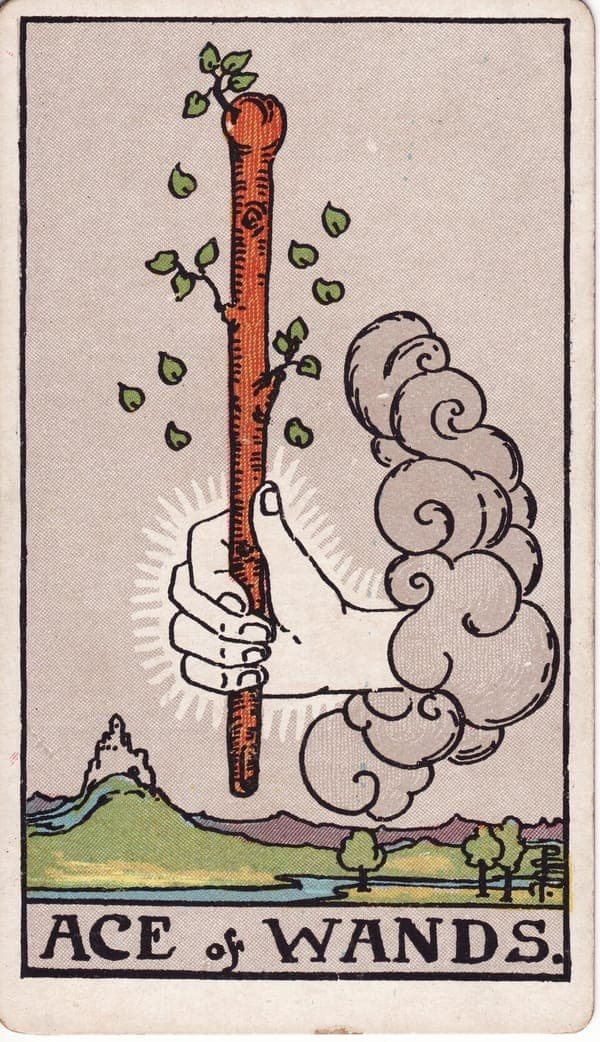 Ace of Wands tarot card: A radiant hand emerges from a cloud gripping a living wand — leaves still sprouting from its wood, more falling around it like green flames.