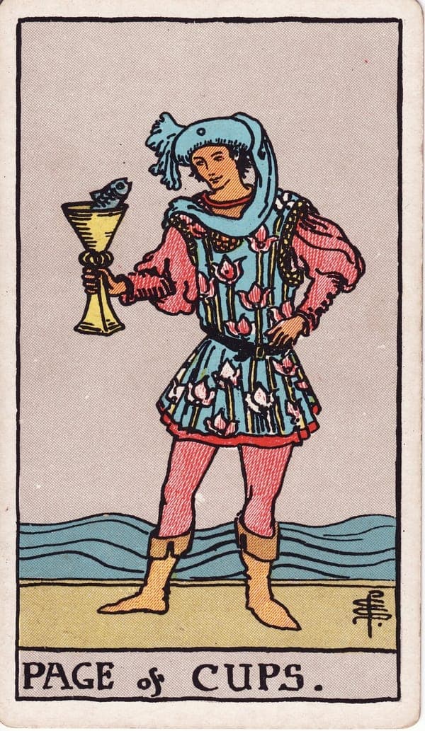 Page of Cups tarot card: A young figure in a flowered tunic stands on the shore, holding a single cup from which a fish looks out — and the Page, rather than startling, meets its gaze with amusement.