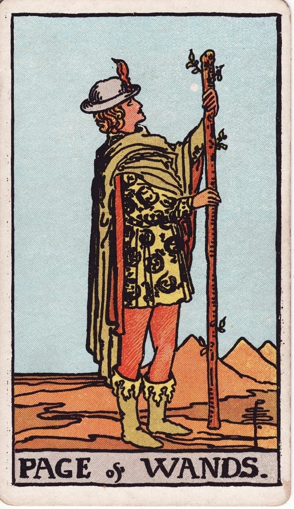 Page of Wands tarot card: A young figure in a tunic patterned with salamanders — fire's own creature — stands in open desert, gripping a tall sprouting staff and studying its new leaves like a letter just received.